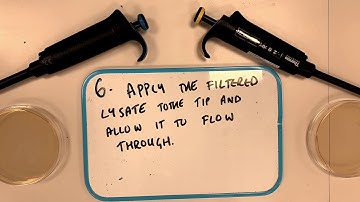 Full Qiagen MaxiPREP plasmid DNA extraction!! With steps!