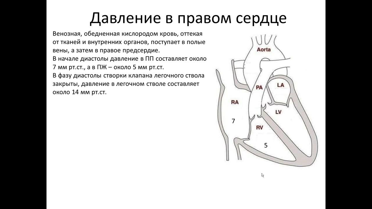 Клапаны нижней полой вены