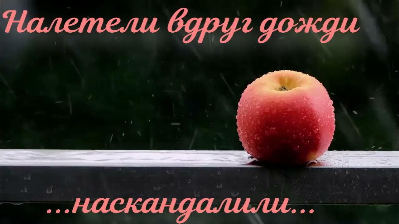 Самоцветы дожди наскандалили. Налетели вдруг дожди наскандалили. Налетели вдруг дожди. Песня налетели вдруг дожди наскандалили.