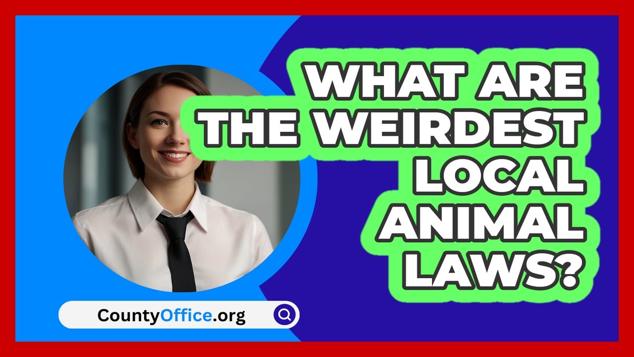 What Are The Weirdest Local Animal Laws? - CountyOffice.org