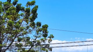 JHOAN TV CHANNEL screenshot 4