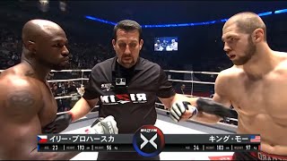 Muhammed Lawal Usa Vs Jiri Prochazka Czech Knockout, Mma Fight Hd
