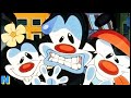 Top 10 Dirty Jokes in Animaniacs Cartoons