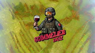 Проект SOMMELiER Dayz - вайп 4-го мая!!!