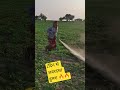 2दिन से जबरदस्त हुमश 🔥🔥 #trading #farming #reels #veel #kisan #tractor #farming #farmingjyotivlogs