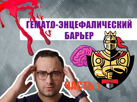 ГЕМАТО-ЭНЦЕФАЛИЧЕСКИЙ БАРЬЕР (ГЭБ) | Нейрофизиология