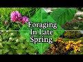 Foraging in Late Spring