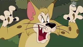 Tom si Jerry ~   Puisorii   ~ Desene animate traduse dublate in romana