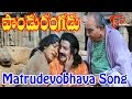 Pandurangadu - Matrudevobhava - Bala Krishna - Emotional Song