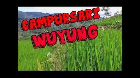 campursari jawa"wuyung"