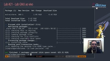 Curso GNU Linux - Lab GNU #21 - Lab ao vivo.