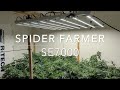 ep3 72 Hours after SCROG training and Continued Canopy Maintenance Spider Farmer SE7000