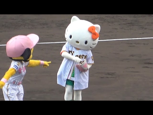 甲子園にハローキティちゃんが登場！！50歳でも相変わらず可愛い