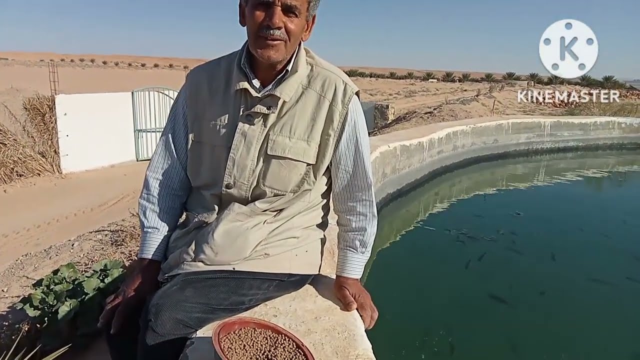 جميع اسرار تربية سمك البلطي للمبتدئين 🐟🐟🐟