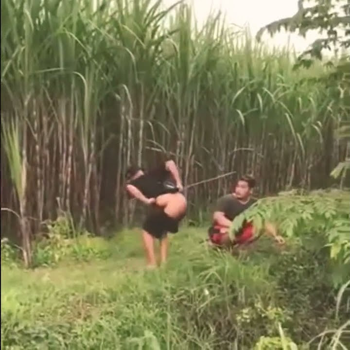 AGUS KOTAK MANCING #shorts#egaalfariz#shortsbeta