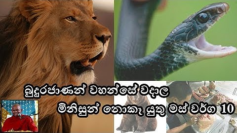 බුදුරජාණන් වහන්සේ මිනිසුන්ට නොකෑයුතු මස් වර්ග වදාළා