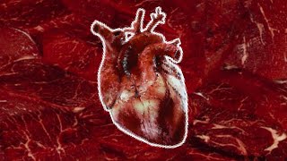 𝘾𝙖𝙣𝙣𝙞𝙗𝙖𝙡 𝙁𝙚𝙖𝙨𝙩 - A playlist