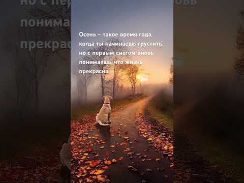 Тогда ты понимаешь, что жизнь прекрасна….
