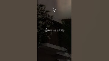 اكتب شيء تؤجر عليه ❤🌿||القارئ سعد الغامدي 🎧😴