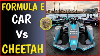 Formula E Vs Cheetah  | Car Experiment | #shorts