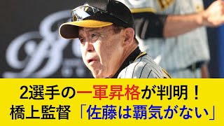 【入れ替え最新情報】2選手の昇格が判明！橋上監督が佐藤輝明選手について「覇気がない」と苦言も、一軍昇格を提言【阪神タイガース】