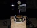Lightning generator 🆚️ Dandelion flower #experiment #teslacoil #fire #flame