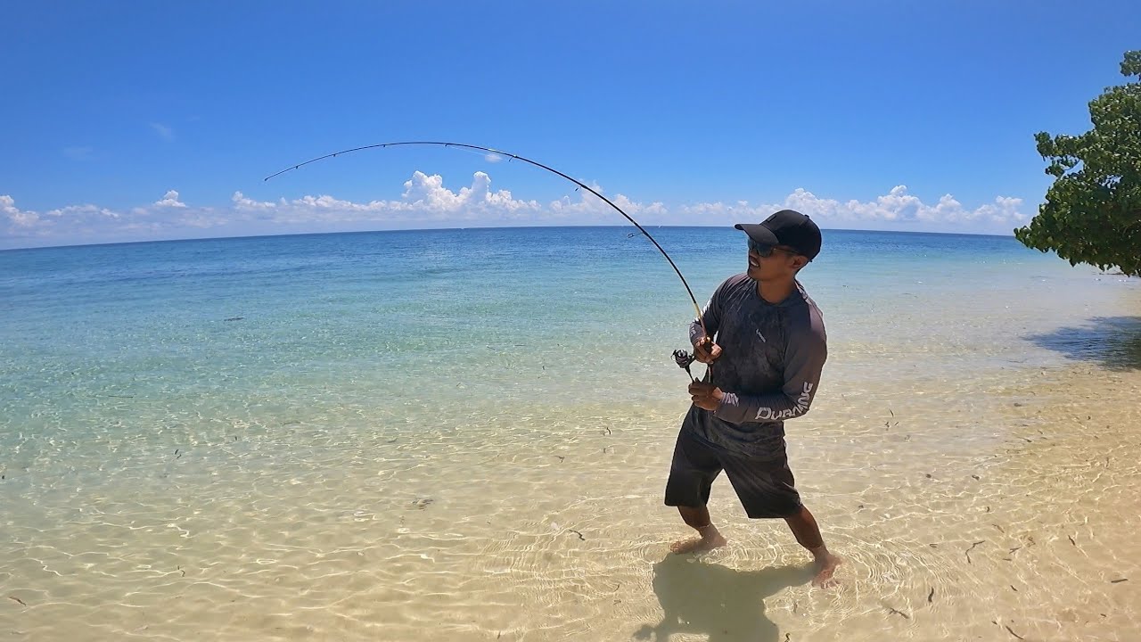 Casting pinggir pantai dengan teckle kecil dihajar habis predator tak henti²