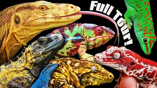 TikisGeckos Full Tour 2024! Hundreds of Reptiles!