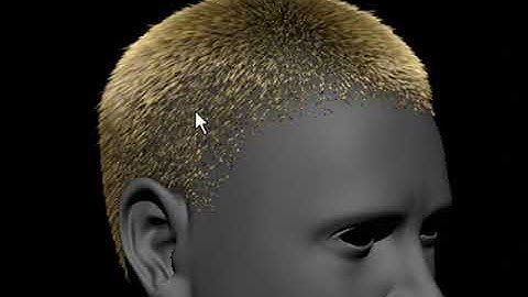 LightWave 9 FiberFX- Image Maps to style fibers