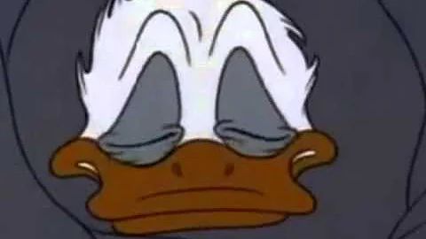 Donald Duck Short   Drip Dippy Donald 1948