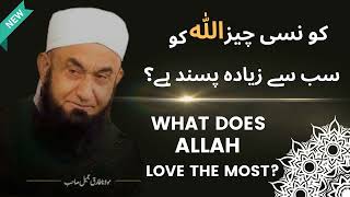 WHAT DOES ALLAH LOVE THE MOST    NEW   MOLANA TARIQ JAMEEL LATEST BAYAN  tariqjamilofficial