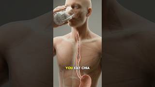 Eat Chia Seeds? Here is what happens inside your stomach…#shorts  #humanbody #science