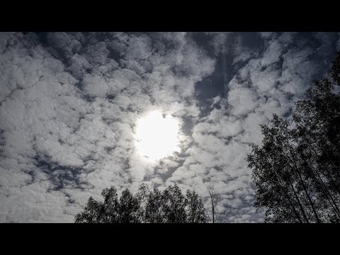 Video: Vidutinė temperatūra ir gruodžio mėnesio orai Detroite