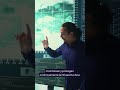 ¿Atacar o defender? #ciberseguridad #cybersecurity #blueteam #redteaming