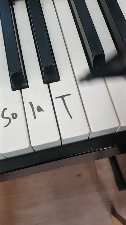 Tralalero Tralala #piano