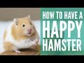 how to have a HAPPY hamster