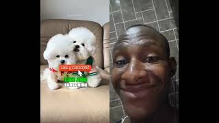 Please Watch Carey short scary funny