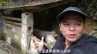 【湖北】神農架原始森林探險發現一部人依舊住著破爛的房子過著簡陋的生活