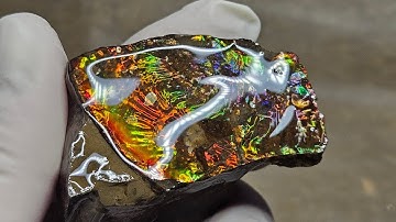 How to Resin Ammolite Art Pieces with Fossil Dad!