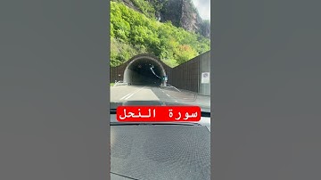 سورة النحل  خالد الجليل #قرآن #قران_كريم