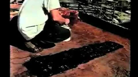 Top coating Corroseal Rust Converting Primer