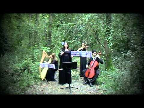 Hexperos acoustic quartet - Live in the wood.mov