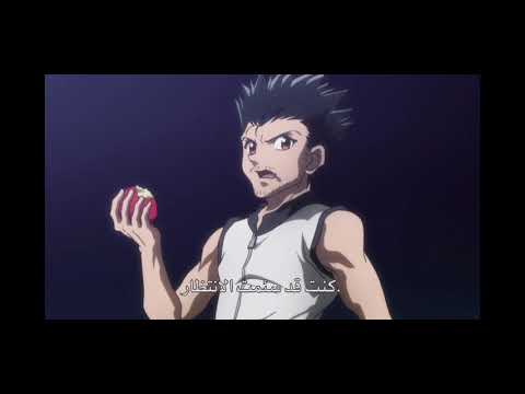 HunterxHunter لقاء جين وغون