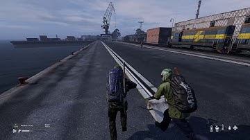 DayZ how much can you take before killing a freashy