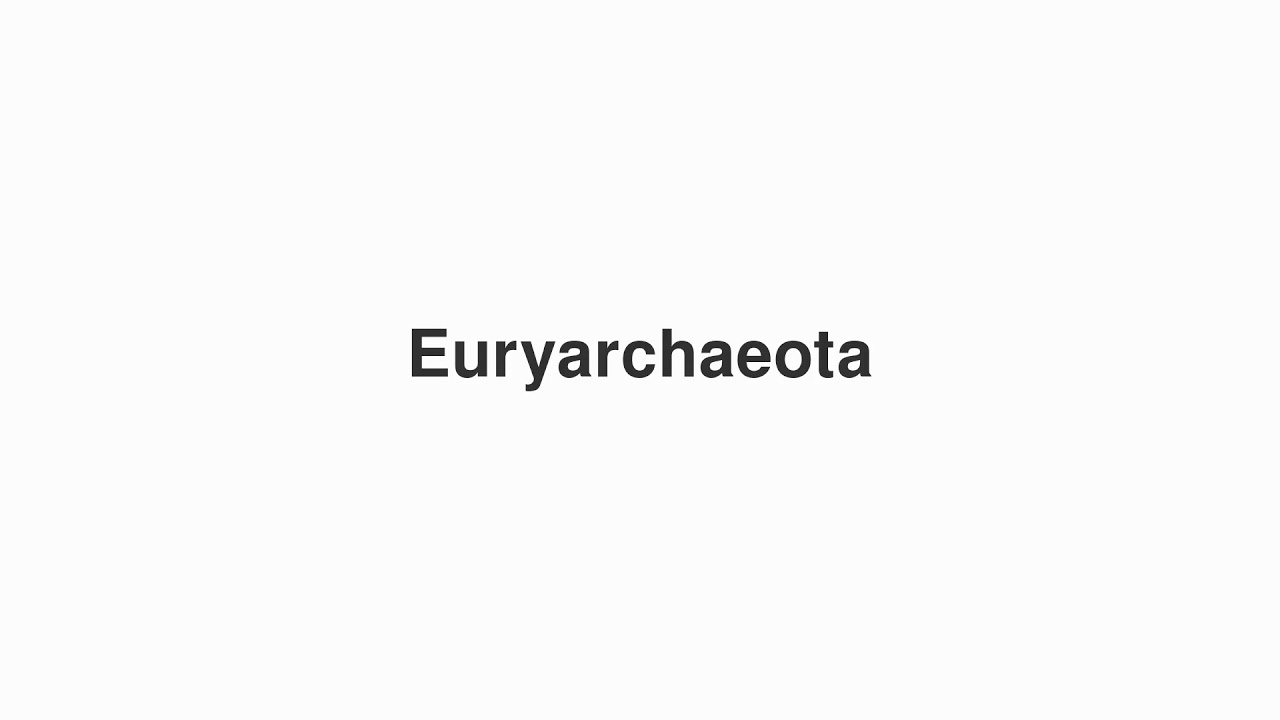 How to Pronounce "Euryarchaeota"