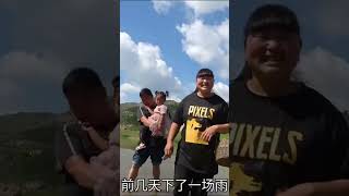 霞姐带孩子一起到自己家的豆角地里摘豆角，最后收货满满一筐#shorts#陕北霞姐#xiajiefromshanbei