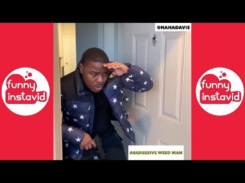 haha-davis-funny-videos-2019-|-funny-haha-davis-vine-compilation---funny-instavid