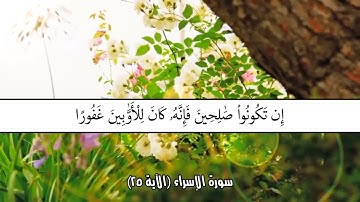 آياتٌ مختارةٌ مِنَ الذكرِ الحكيم سورة الإسراء(الآية ٢٥)#أهل_القرآن_الأبرار