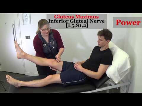 Lower Limb Neurological Exam