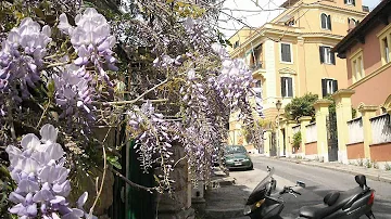 Quali sono le zone più ricche di Roma?
